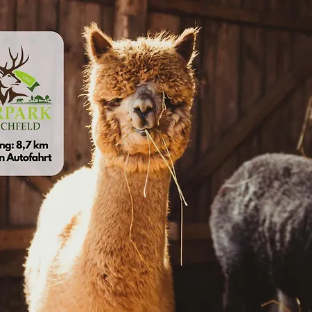 Apartment Plohn By Immo-franzi *