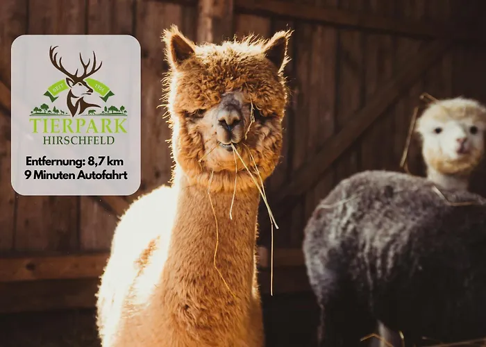 Apartment Plohn By Immo-franzi *